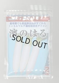 送料無料 [大根] 濱のはる 2dl (株)サカタのタネ