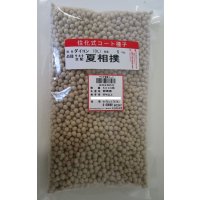送料無料[大根]　夏相撲　ペレット5000粒　(株)サカタのタネ