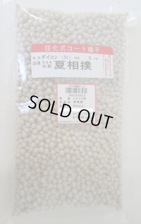 送料無料[大根] 夏相撲 ペレット種子5000粒 (株)サカタのタネ