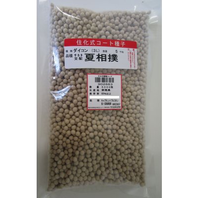 画像1: 送料無料[大根]　夏相撲　ペレット種子5000粒　(株)サカタのタネ
