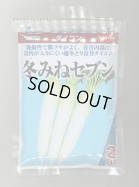 送料無料 大根 冬みねセブン 2dl (株)サカタのタネ