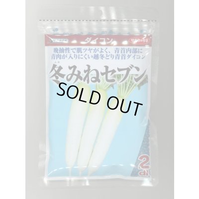 画像1: 送料無料　大根　冬みねセブン　2dl　(株)サカタのタネ