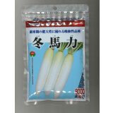 送料無料　大根　冬馬力　8000粒　(株)サカタのタネ