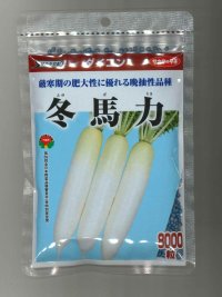 送料無料　大根　冬馬力　8000粒　(株)サカタのタネ