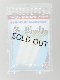 送料無料　大根　冬馬力　8000粒　(株)サカタのタネ