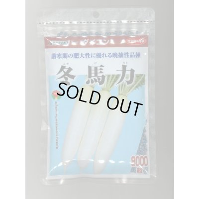 画像1: 送料無料　大根　冬馬力　8000粒　(株)サカタのタネ