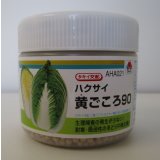 送料無料　[白菜]　黄ごころ90　ペレット5千粒　タキイ種苗（株）