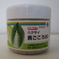 送料無料　[白菜]　黄ごころ90　ペレット5千粒　タキイ種苗（株）