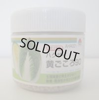 送料無料　[白菜]　黄ごころ90　ペレット5千粒　タキイ種苗（株）
