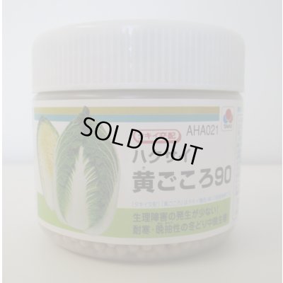 画像1: 送料無料　[白菜]　黄ごころ90　ペレット5千粒　タキイ種苗（株）