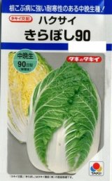 送料無料　[白菜]　きらぼし90　　タキイ種苗(株)DF