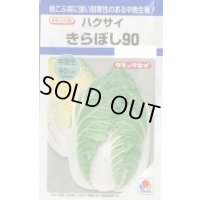 送料無料　[白菜]　きらぼし90　　タキイ種苗(株)DF