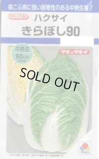 送料無料　[白菜]　きらぼし90　　タキイ種苗(株)DF