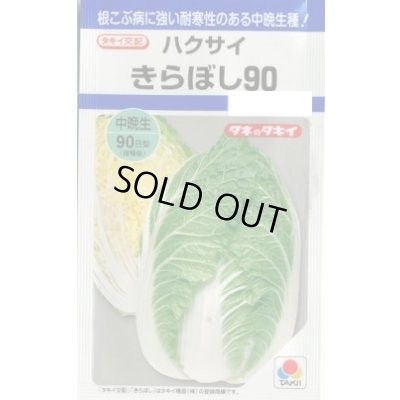 画像1: 送料無料　[白菜]　きらぼし90　　タキイ種苗(株)DF