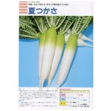 送料無料　大根　夏つかさ　コート5千粒　（株）トーホク