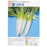 大根　夏つかさ　コート5千粒　（株）トーホク