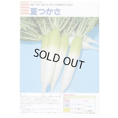 画像2: 送料無料　大根　夏つかさ　ペレット種子5千粒　（株）トーホク