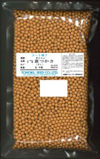 送料無料　大根　夏つかさ　コート5千粒　（株）トーホク
