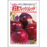 送料無料　[たまねぎ]　赤玉葱　フレッシュレッド　20ml　松永種苗(株)