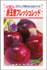 送料無料　[たまねぎ]　赤玉葱　フレッシュレッド　20ml　松永種苗(株)