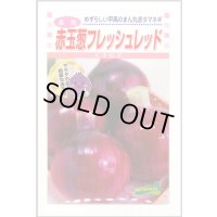 送料無料　[たまねぎ]　赤玉葱　フレッシュレッド　20ml　松永種苗(株)