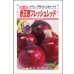 画像1: 送料無料　[たまねぎ]　赤玉葱　フレッシュレッド　20ml　松永種苗(株) (1)
