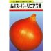 画像1: 送料無料　[たまねぎ]　スーパーリニア　20ml　松永種苗(株) (1)