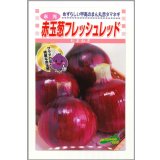 送料無料　[たまねぎ]　赤玉葱　フレッシュレッド　4ml　松永種苗(株)
