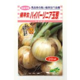 送料無料　[たまねぎ]　ハイパーリニア　20ml　松永種苗(株)