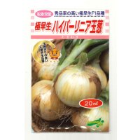 送料無料　[たまねぎ]　ハイパーリニア　20ml　松永種苗(株)