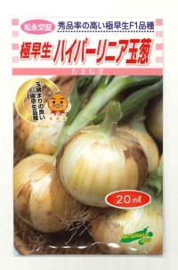 送料無料　[たまねぎ]　ハイパーリニア　20ml　松永種苗(株)