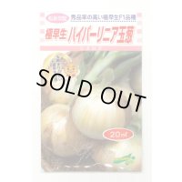 送料無料　[たまねぎ]　ハイパーリニア　20ml　松永種苗(株)