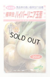送料無料　[たまねぎ]　ハイパーリニア　20ml　松永種苗(株)