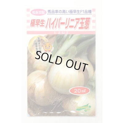 画像1: 送料無料　[たまねぎ]　ハイパーリニア　20ml　松永種苗(株)