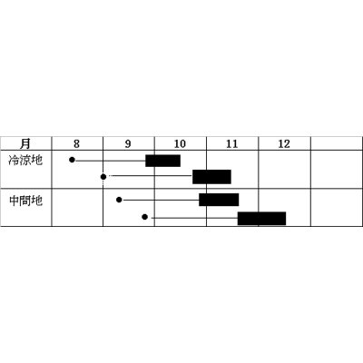 画像3: 送料無料　[かぶ]　CRあじ紅　20ml　　 小林種苗（株）