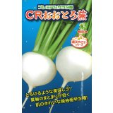 送料無料　[かぶ]　CRおおとろ蕪　2ml 小林種苗（株）