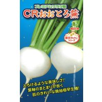 送料無料　[かぶ]　CRおおとろ蕪　2ml 小林種苗（株）