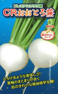送料無料　[かぶ]　CRおおとろ蕪　2ml 小林種苗（株）