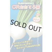 送料無料　[かぶ]　CRおおとろ蕪　2ml 小林種苗（株）