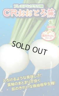 送料無料　[かぶ]　CRおおとろ蕪　2ml 小林種苗（株）