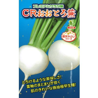 画像1: 送料無料　[かぶ]　CRおおとろ蕪　2ml 小林種苗（株）