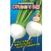 画像1: 送料無料　[かぶ]　CRおおとろ蕪　2ml 小林種苗（株） (1)