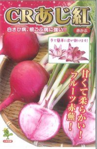 送料無料　[かぶ]　CRあじ紅　20ml　　 小林種苗（株）