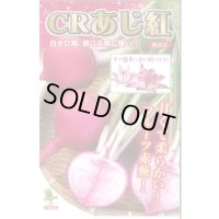 送料無料　[かぶ]　CRあじ紅　20ml　　 小林種苗（株）