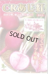 送料無料　[かぶ]　CRあじ紅　20ml　　 小林種苗（株）