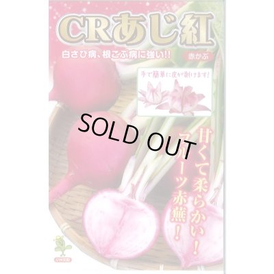 画像1: 送料無料　[かぶ]　CRあじ紅　20ml　　 小林種苗（株）