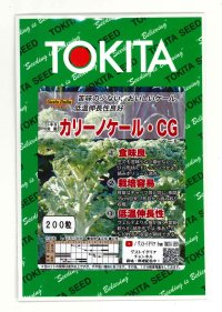 送料無料　カリーノケールCG　200粒　トキタ種苗（株）