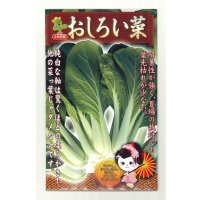 送料無料　おしろい菜　20ml   小林種苗（株）