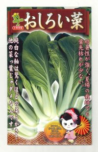 送料無料　おしろい菜　20ml   小林種苗（株）