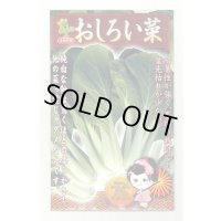 おしろい菜 20ml 小林種苗（株）